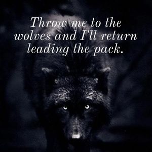 Meet your Posher, Rikki